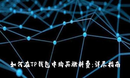 如何在TP钱包中购买燃料费：详尽指南