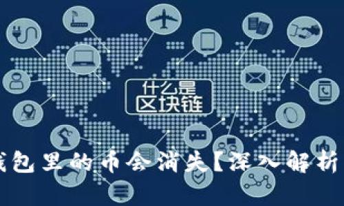 为什么TP钱包里的币会消失?深入解析及解决方案