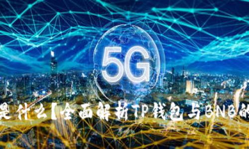 TP钱包BNB是什么?全面解析TP钱包与BNB的关系及应用