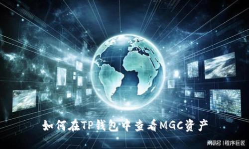 如何在TP钱包中查看MGC资产