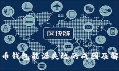 加密货币钱包能源失效的成因及解决方案
