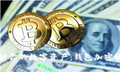 如何保护你的数字资产:钱包加密视频详解