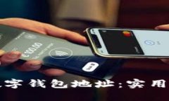 如何查询数字钱包地址:实用指南与技巧