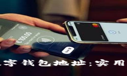 如何查询数字钱包地址：实用指南与技巧