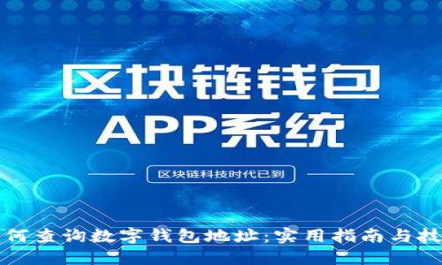 如何查询数字钱包地址：实用指南与技巧