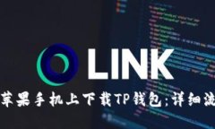 如何在苹果手机上下载TP钱包:详细流程指南