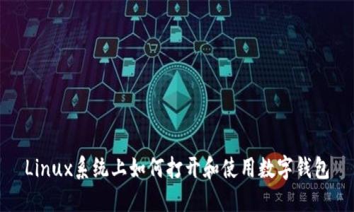 Linux系统上如何打开和使用数字钱包