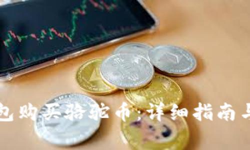 如何通过TP钱包购买骆驼币:详细指南与常见问题解答