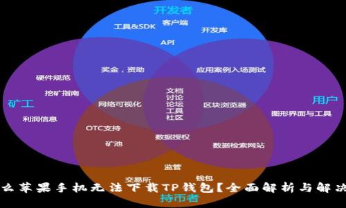为什么苹果手机无法下载TP钱包?全面解析与解决方案