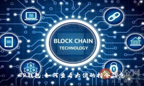 TP钱包:如何查看大佬的持仓信息