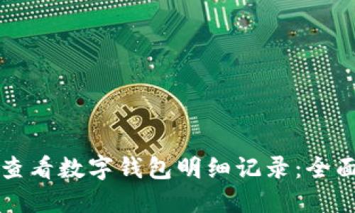 如何查看数字钱包明细记录:全面指南