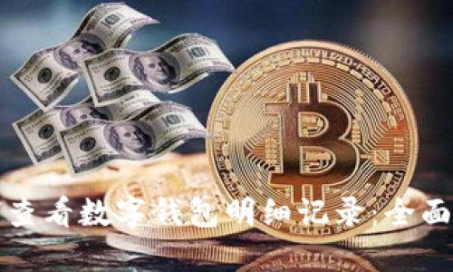 如何查看数字钱包明细记录:全面指南