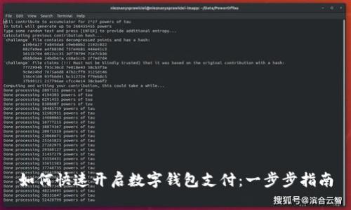 如何快速开启数字钱包支付：一步步指南