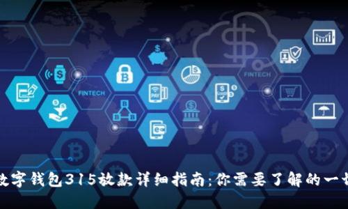 数字钱包315放款详细指南:你需要了解的一切
