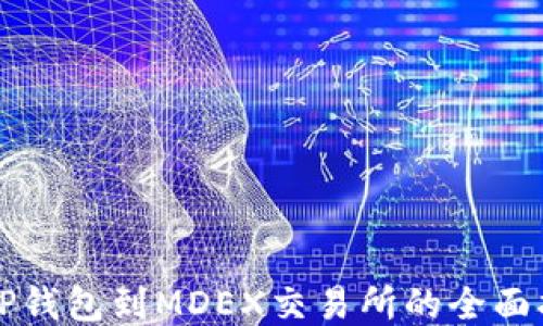 
从TP钱包到MDEX交易所的全面指南