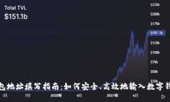 数字钱包地址填写指南:如何安全、高效地输入