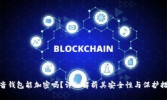 抖音钱包能加密吗?详细解析其安全性与保护措