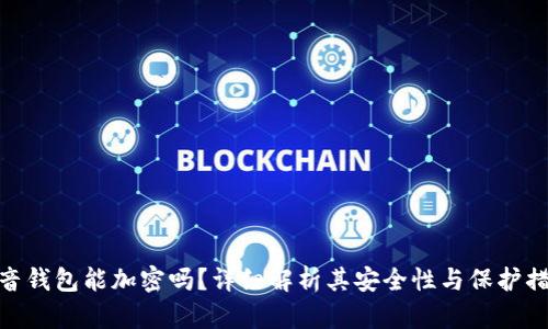 抖音钱包能加密吗?详细解析其安全性与保护措施