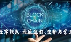 探索深圳数字钱包:开通流程、优势与常见问题