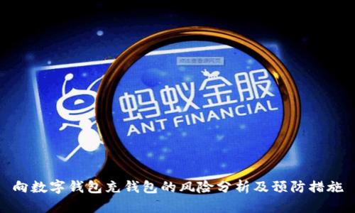 向数字钱包充钱包的风险分析及预防措施