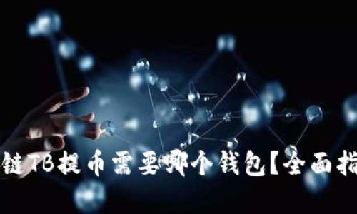 淘吧区块链TB提币需要哪个钱包?全面指南与建议