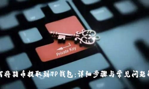 如何将猪币提取到TP钱包:详细步骤与常见问题解答