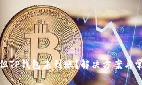: 提币成功但TP钱包未到账?解决方案与常见问题解析