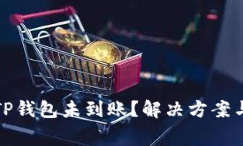 : 提币成功但TP钱包未到账?解决方案与常见问题解析