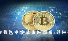 如何在TP钱包中安装未知应用:详细设置指南
