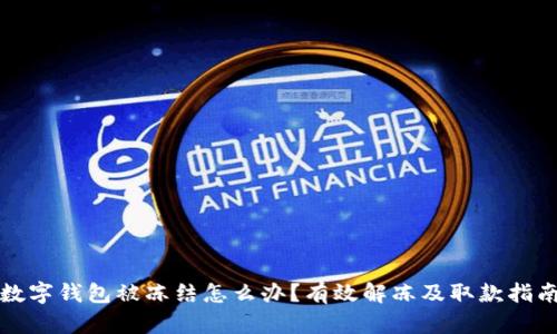 数字钱包被冻结怎么办?有效解冻及取款指南