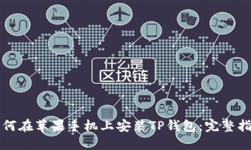 如何在苹果手机上安装TP钱包:完整指南