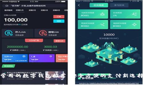 常用的数字钱包推荐:安全方便的支付新选择