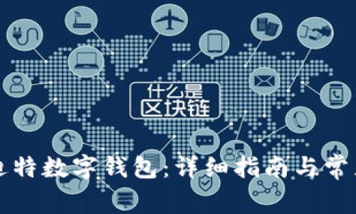 如何使用迪特数字钱包:详细指南与常见问题解析