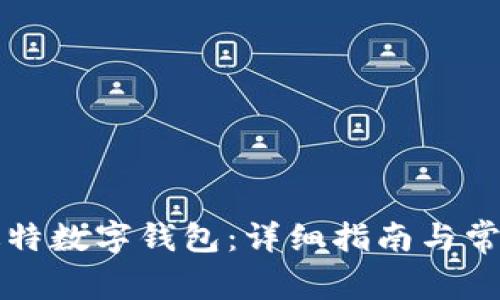 如何使用迪特数字钱包:详细指南与常见问题解析