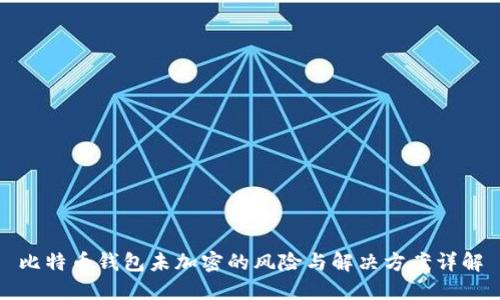 比特币钱包未加密的风险与解决方案详解