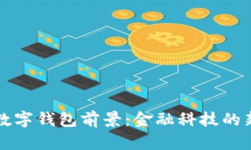 未来数字钱包前景:金融科技的新时代
