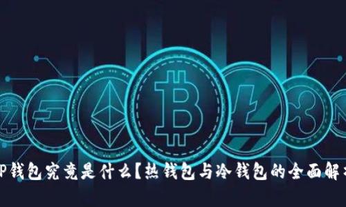 TP钱包究竟是什么?热钱包与冷钱包的全面解析
