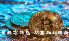 如何有效应用数字钱包:从基础到进阶的全面指