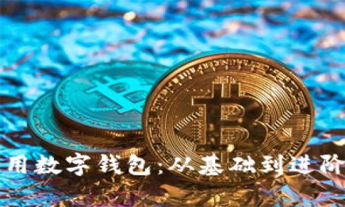 如何有效应用数字钱包:从基础到进阶的全面指南
