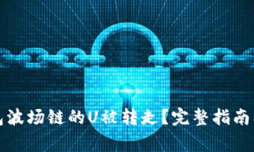 如何应对TP钱包波场链的U被转走?完整指南及常见问题解答