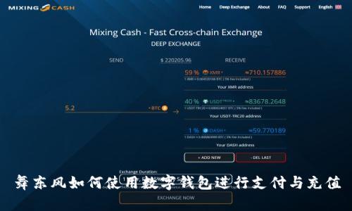 舞东风如何使用数字钱包进行支付与充值