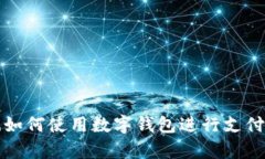 舞东风如何使用数字钱包进行支付与充值