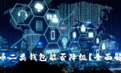 数字人民币二类钱包能否降级?全面解析与答疑