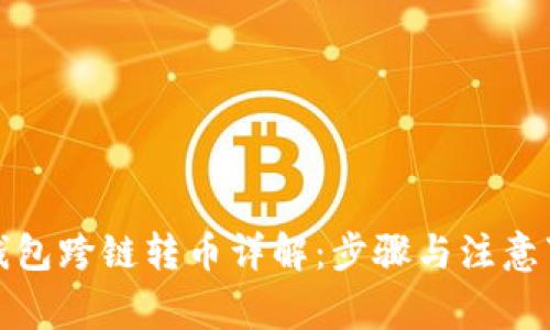 TP钱包跨链转币详解:步骤与注意事项