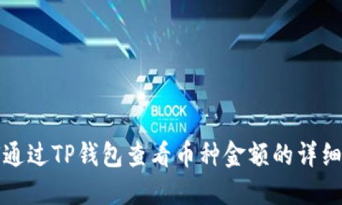 如何通过TP钱包查看币种金额的详细指南