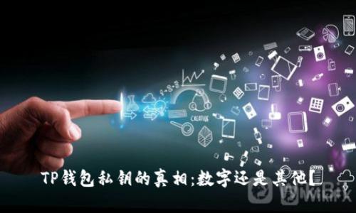 TP钱包私钥的真相:数字还是其他?