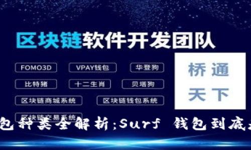 数字钱包种类全解析:Surf 钱包到底是什么?