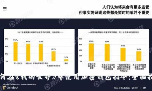 如何在《我的世界》中使用加密钱包指令:全面指南