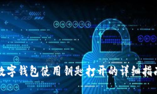 数字钱包使用钥匙打开的详细指南