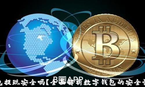 数字钱包提现安全吗?全面解析数字钱包的安全性与风险